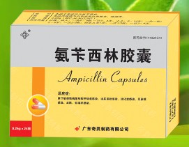  氨芐西林膠囊