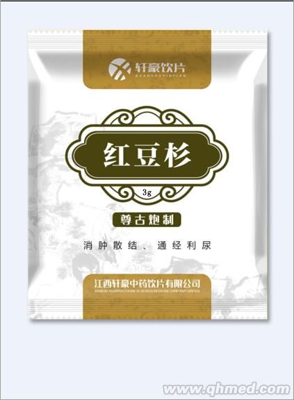 紅豆杉 