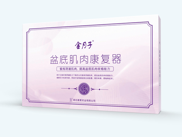盆底肌肉康復器/產后盆底康復/盆底肌肉康 盆底肌肉康復器